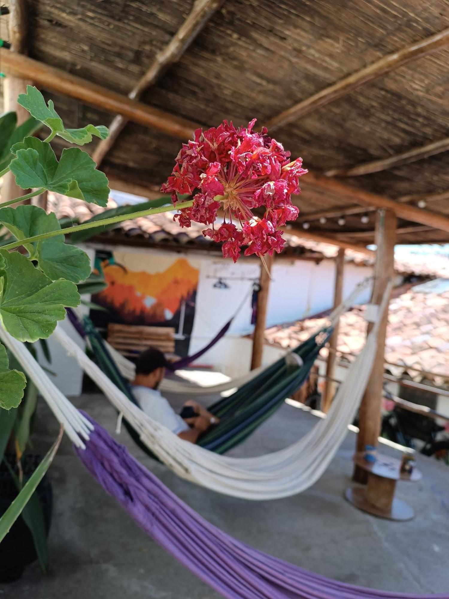 Adventure Hostel San Gil Dış mekan fotoğraf